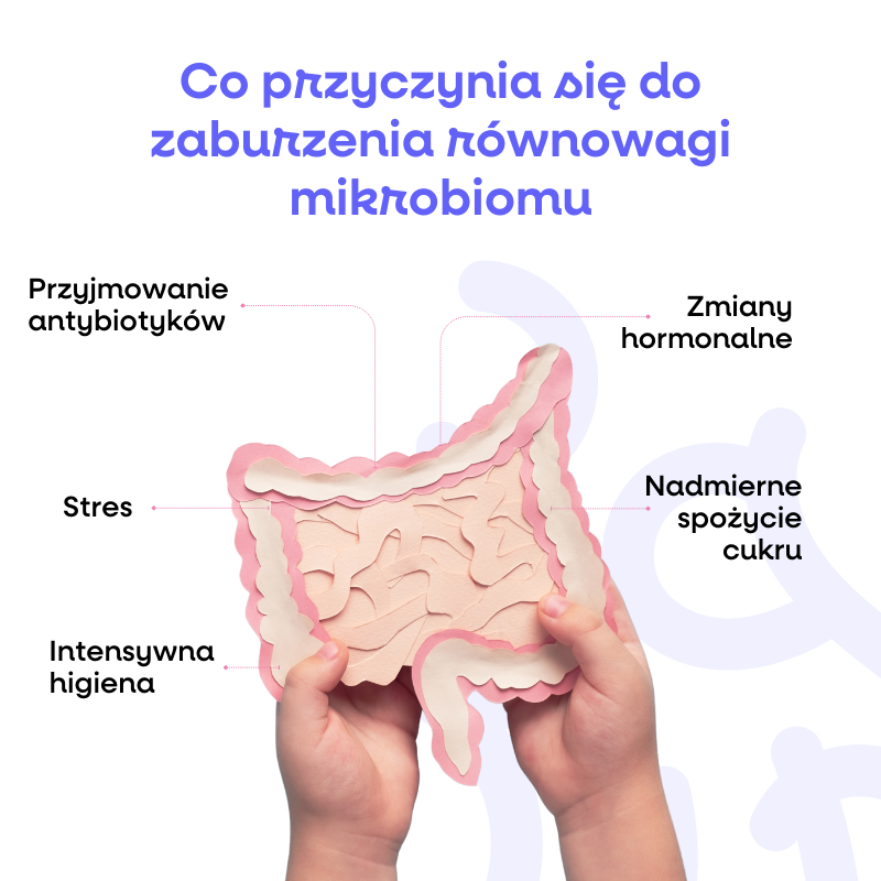 (Polština) Co přispívá k nerovnováze mikrobiomu